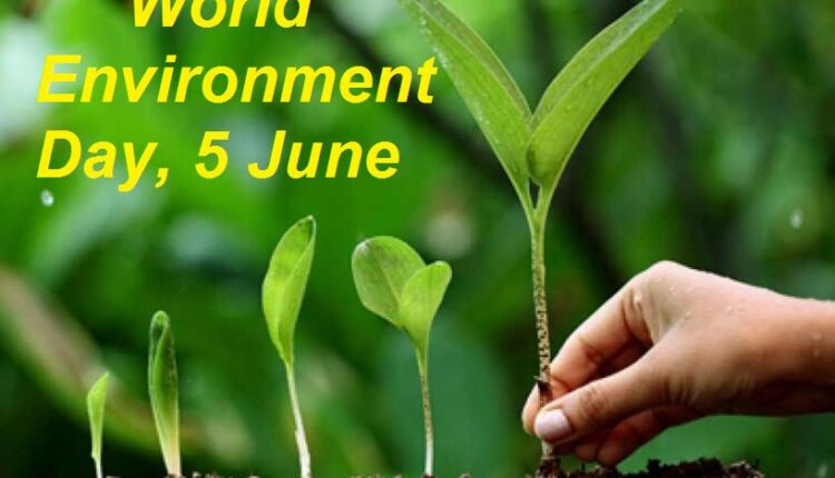 environment day 2021