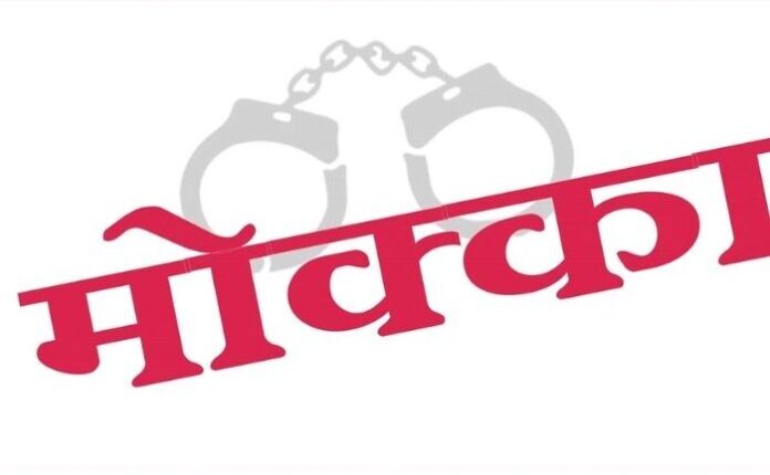 Mocca in Pune against two criminals from Nanded