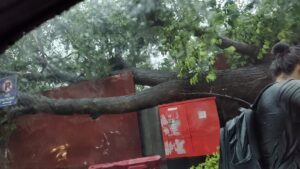 Heavy rain in Pune flooded the city, Shivajinagar, JM Road, Hadapsar, Sinhagad Road, Warje,