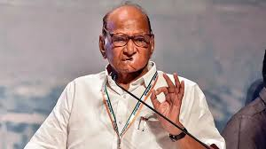 Sharad Pawar made it clear who will be his candidate in the assembly elections